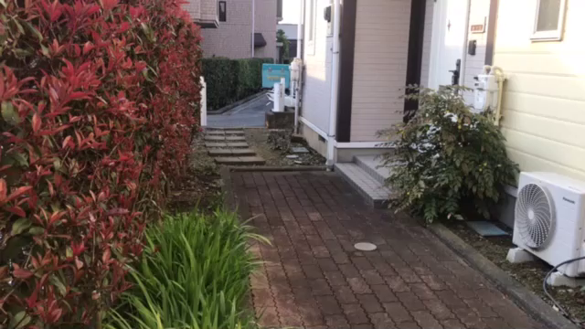 地域猫社会も複雑なようですの記事動画