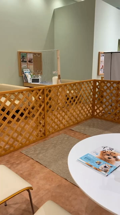 【１０月３日（土）】立川にて『イヌなで』セミナー開催決定の記事動画