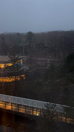 軽井沢で過ごす大切な時間の記事動画