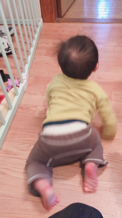 同じ時を生きている。の記事動画