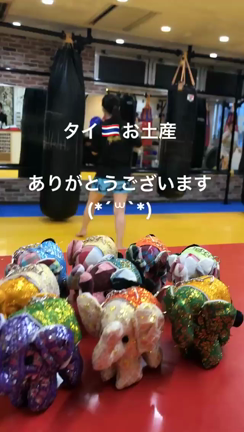 本日の練習の記事動画