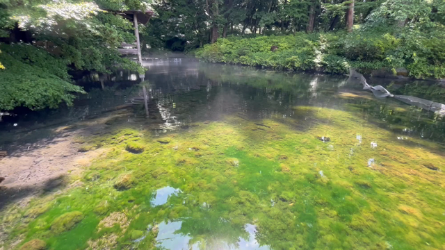 疲れに効く水のエネルギー画像（怪の記事動画