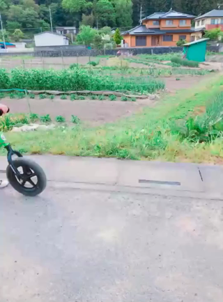 遊びは飛び級が出来ない！知育につまずいたらコレを見直すの記事動画