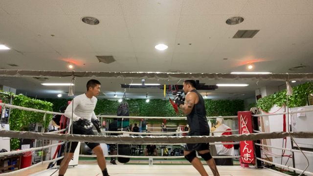 BOXの記事動画