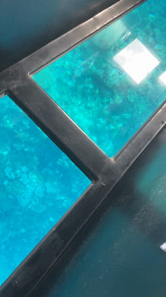 新婚旅行〜沖縄・先島諸島〜の記事動画