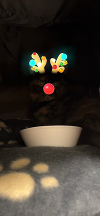 Merry Christmas♡の記事動画