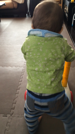 一歳になったらの記事動画