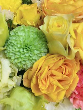 お誕生日♡の記事動画