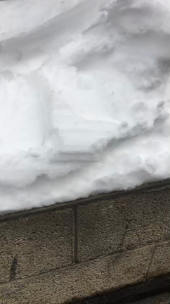 実は昨日。。の記事動画