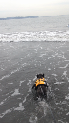 ドン・ウォーターマンの記事動画