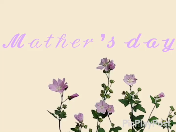 母の日の記事動画