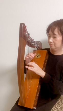ラップハープ 【音出し確認済み】 本体 お子様や初心者から幅広く楽しめます ラップハープ 【音出し確認済み】 本体 お子様や初心者から