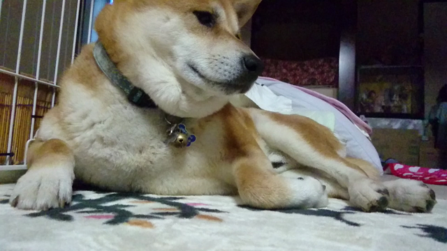 スルーされる。の記事動画