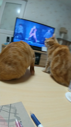 SUGAの誕生日の記事動画