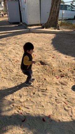 2y2m12d☆ポカポカ12月の公園の記事動画