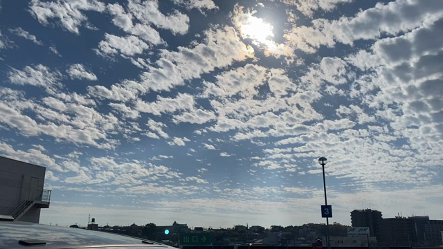 秋の空　うろこ雲の記事動画