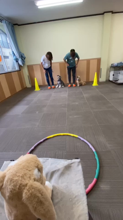 あっという間に10月！の記事動画