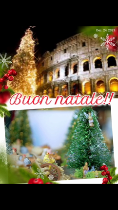 Buon Natale‼️イタリア語でMerry Christmas今日は聖なる夜の記事動画