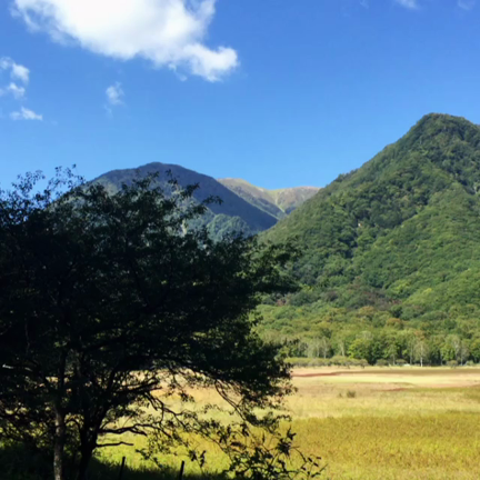 私のシルバーウィーク♪4日目の記事動画