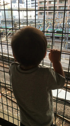 電車見学の記事動画