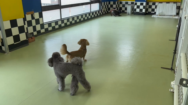 8月6日(土)♪♪の記事動画