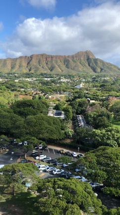 ハワイに行ってきました！1の記事動画