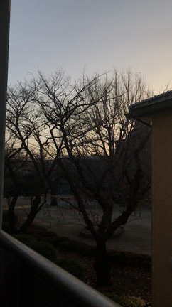 朝イチに見つけたちょっとしたことの記事動画