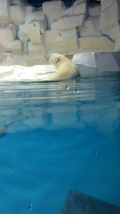 VS暑さの記事動画