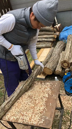 シイタケの記事動画