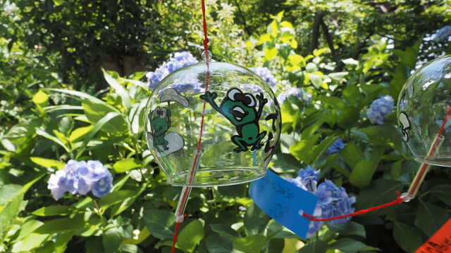 かえる寺の記事動画