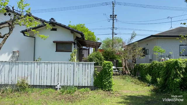 動画編集にハマっての記事動画