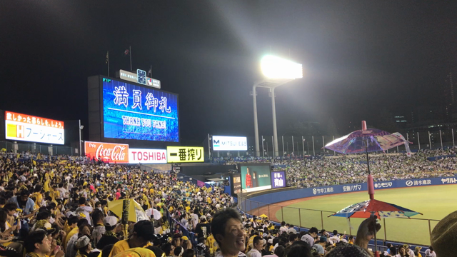 行ったことのある観光地の写真の記事動画