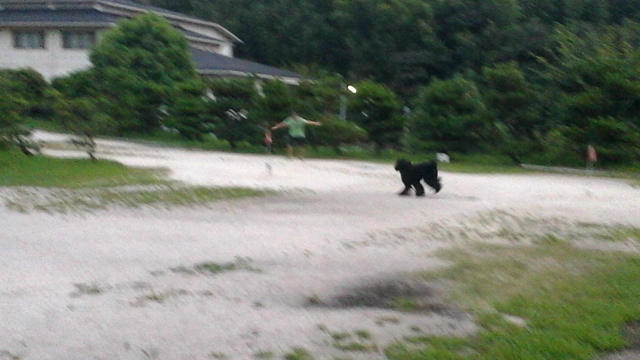 毎日のお仕事と大好きなことの記事動画