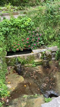 20年振りの沖縄！！夏すぎぃ！の記事動画