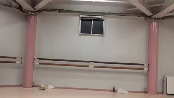 ブルゾンまなみさんと、さやか( ்▿்)の記事動画