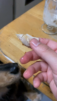 明日は最後の夜間工場かなの記事動画