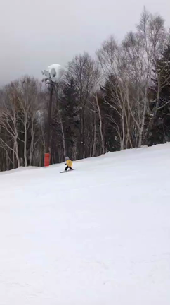 明日の朝のHTBイチモニにレシピが紹介されます♪の記事動画