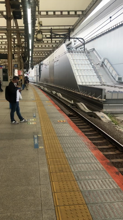 地震で電車が大幅に遅れ➡︎キャビンが運休　横浜にシューマイ食べに行っただけ！の記事動画