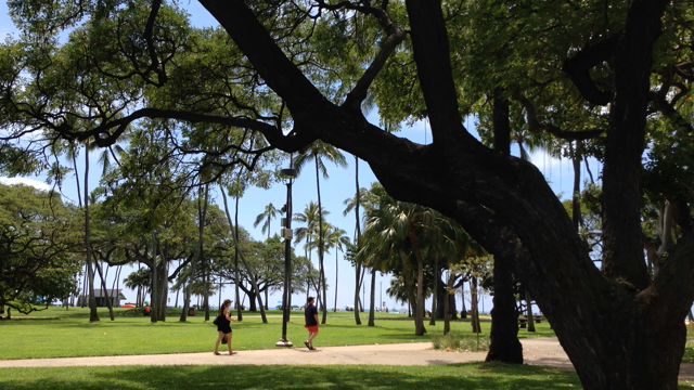 今日のハワイ@ワイキキ(2017.3.17)の記事動画