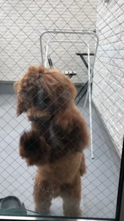 タオルの買い替え時に是非！の記事動画