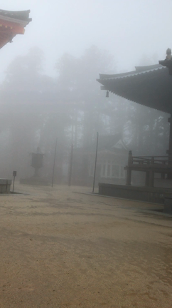 高野山の記事動画