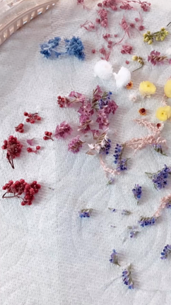 本日、「KOTORI」×「JAMS」逆バレンタイン企画 フラワーヘアクリップ入荷です。の記事動画