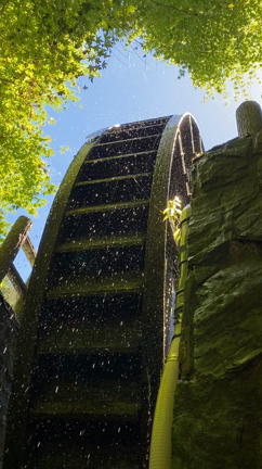 涼のお裾分けの記事動画