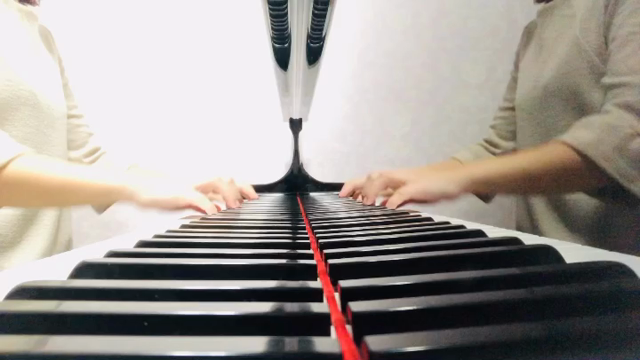 ノーダウトの記事動画