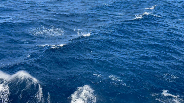 船内は暇です。の記事動画