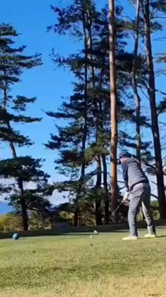 風が吹けば…の記事動画