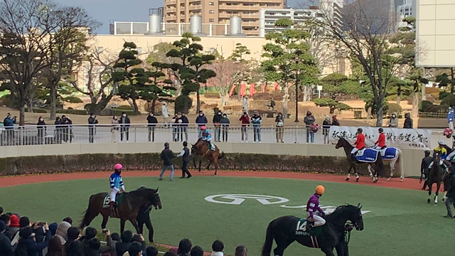 暴れ馬登場ジョッキー目指していた息子と小倉競馬場へ！の記事動画