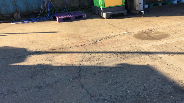 かわいすぎる！の記事動画