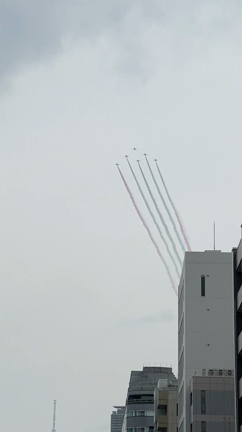 東京パラリンピックがスタート　ブルーインパルスと花火の記事動画