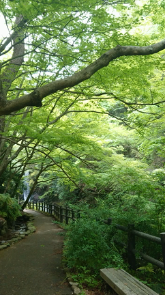 ツインレイの道☆寿編    エネルギーチャージの記事動画